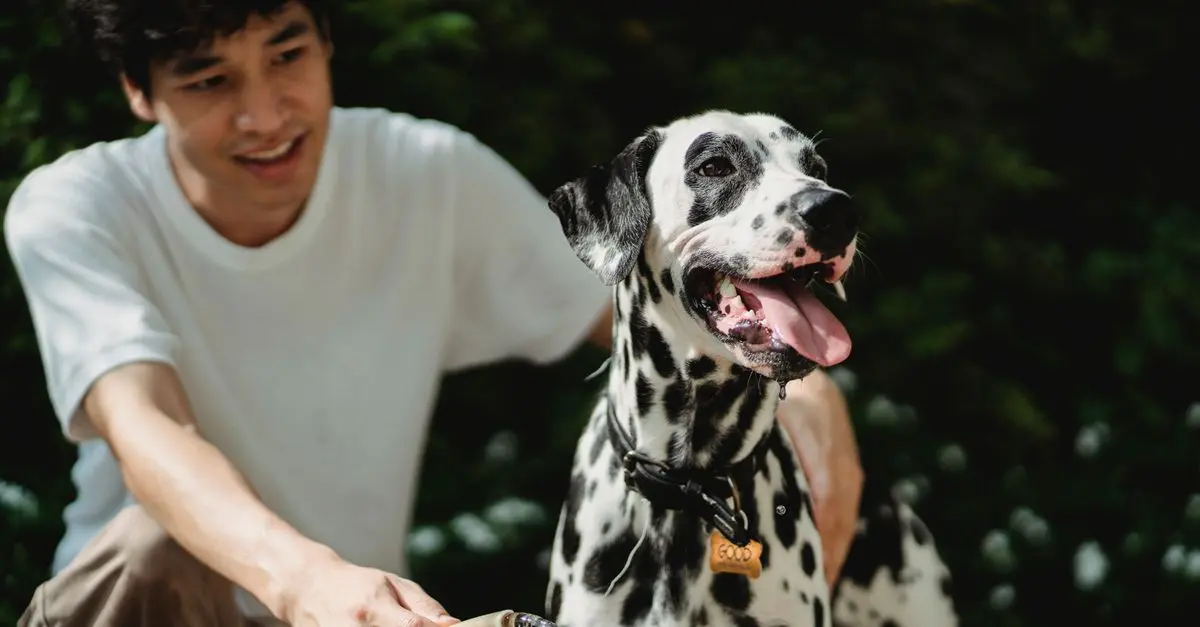 Creating Engaging Pet-Friendly Networking Events for Your Community