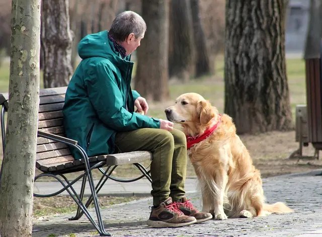 10 Essential Tips for Organizing Pet-Friendly Events