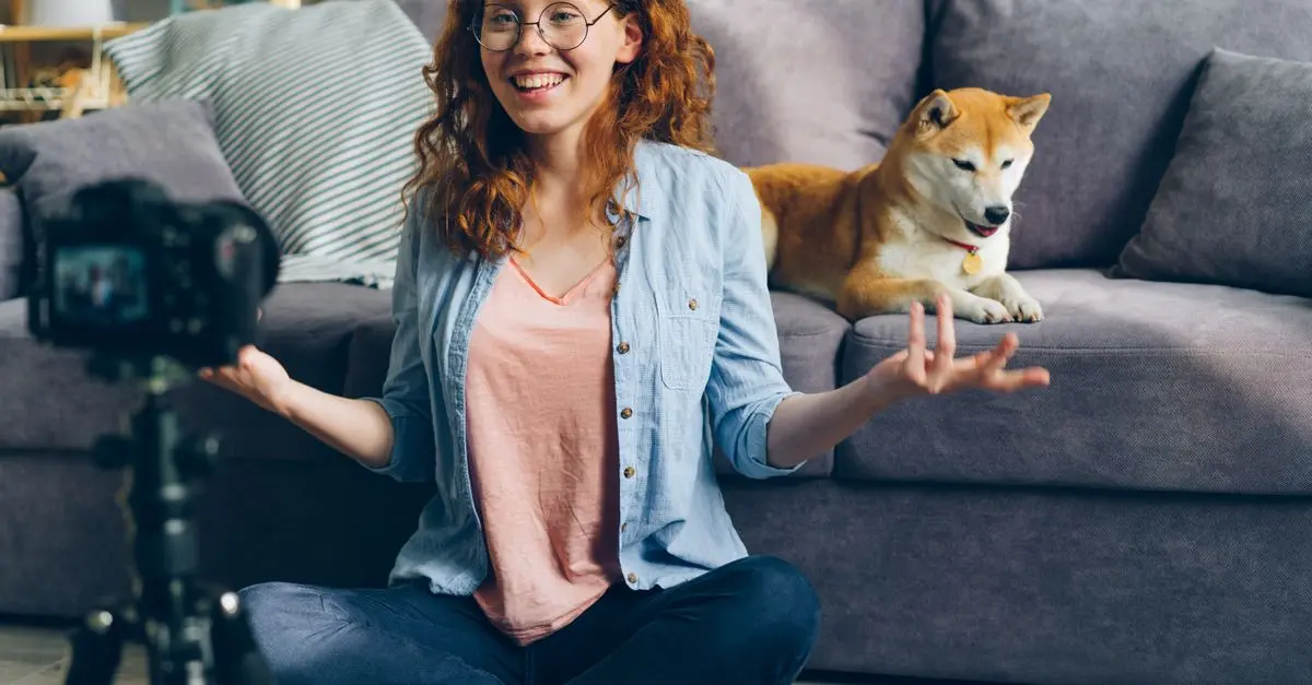 How to Develop a Strong Pet Friendly Network in Your Area