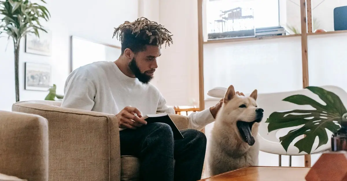 Dog vs. Cat Ownership: Which Is Best for You?