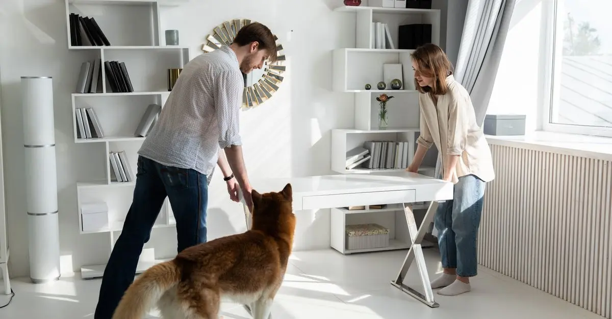 Home Renovations for Pet Owners