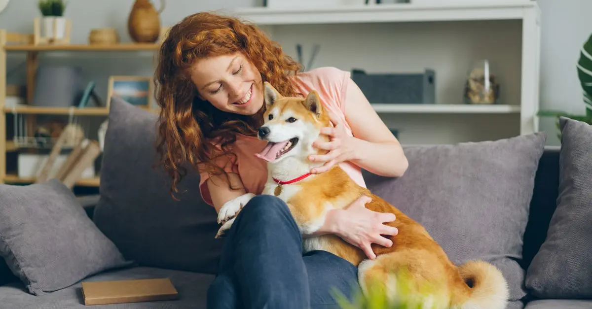 How to Choose Pet-Friendly Accommodation for Your Next Vacation