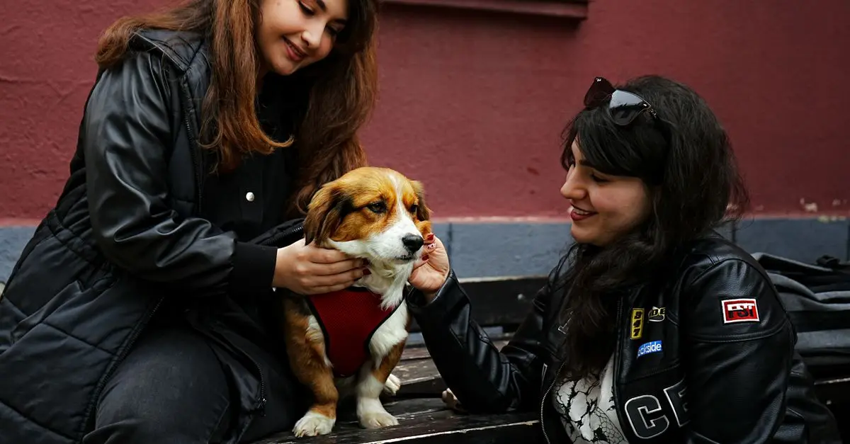 7 Tips for Building Strong Pet-Friendly Relationships