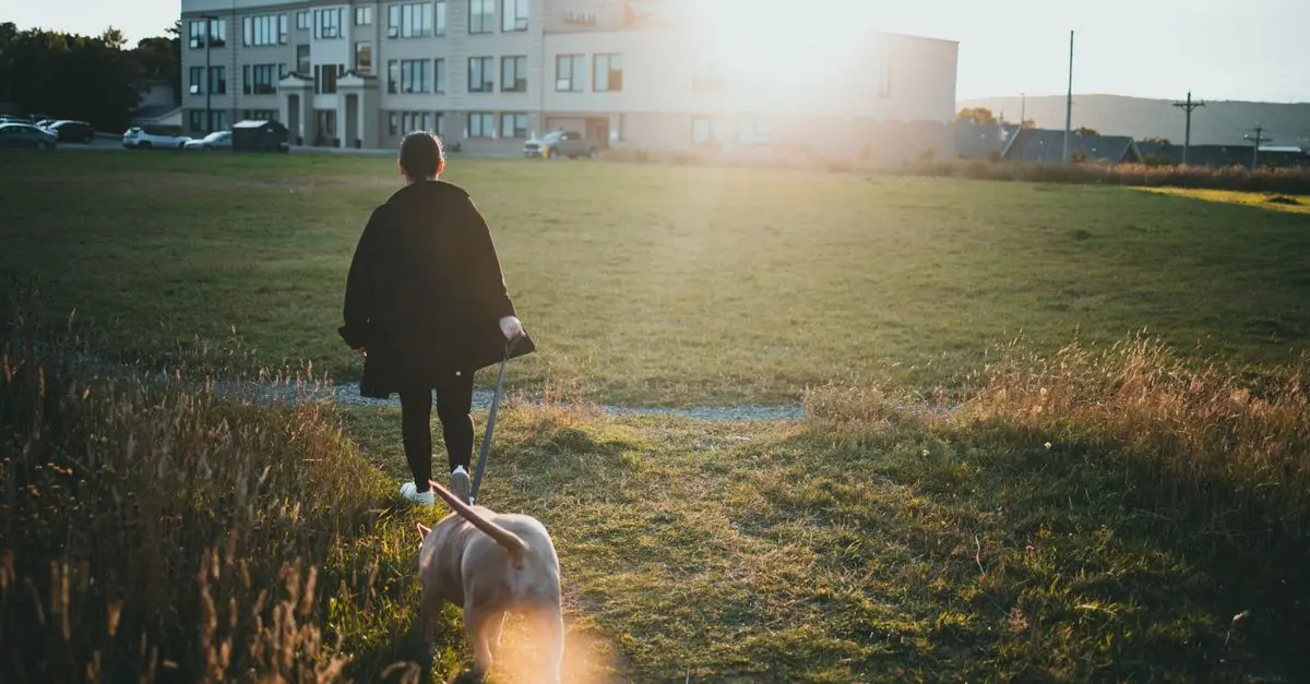 Creative Strategies for Engaging Your Pet-Friendly Network