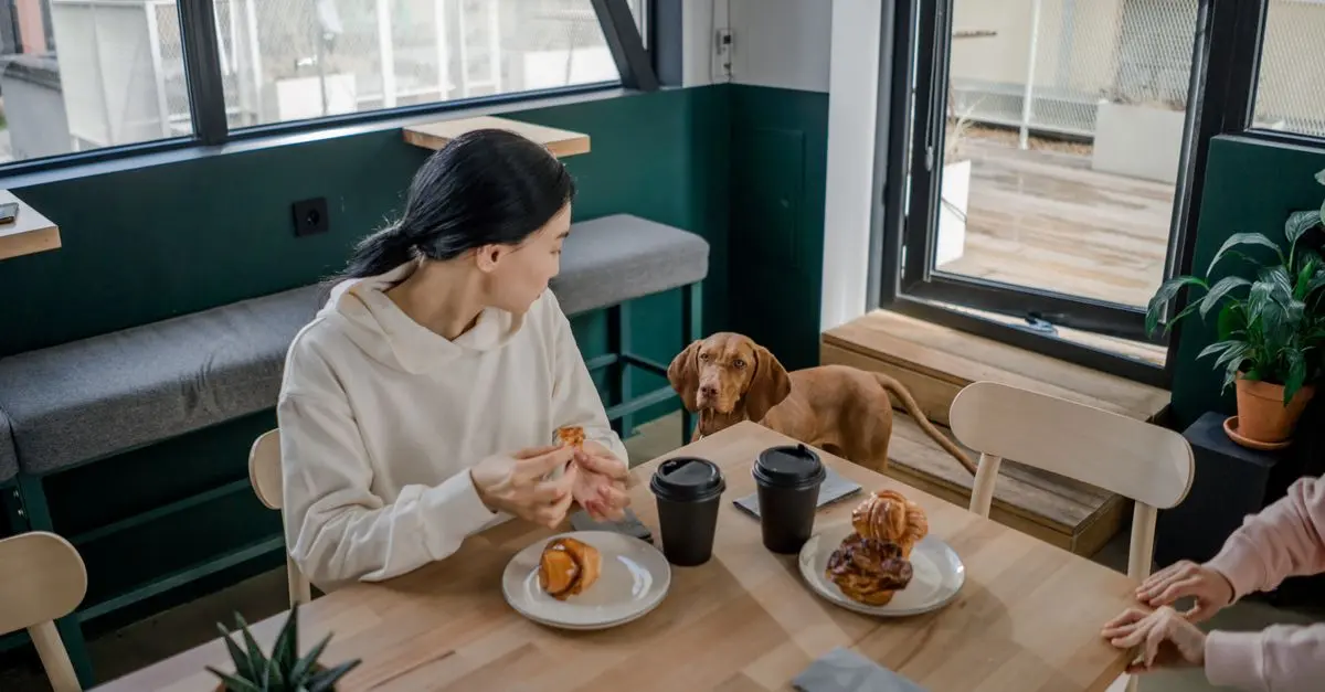 Pet-Friendly Recipes: Cooking for Cats and Dogs