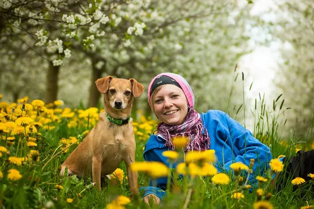 5 Creative Ways to Engage Your Pet-Friendly Network