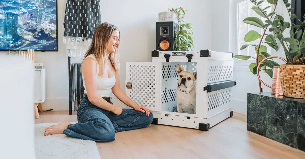 How to Create a Pet-Friendly Space in Your Home