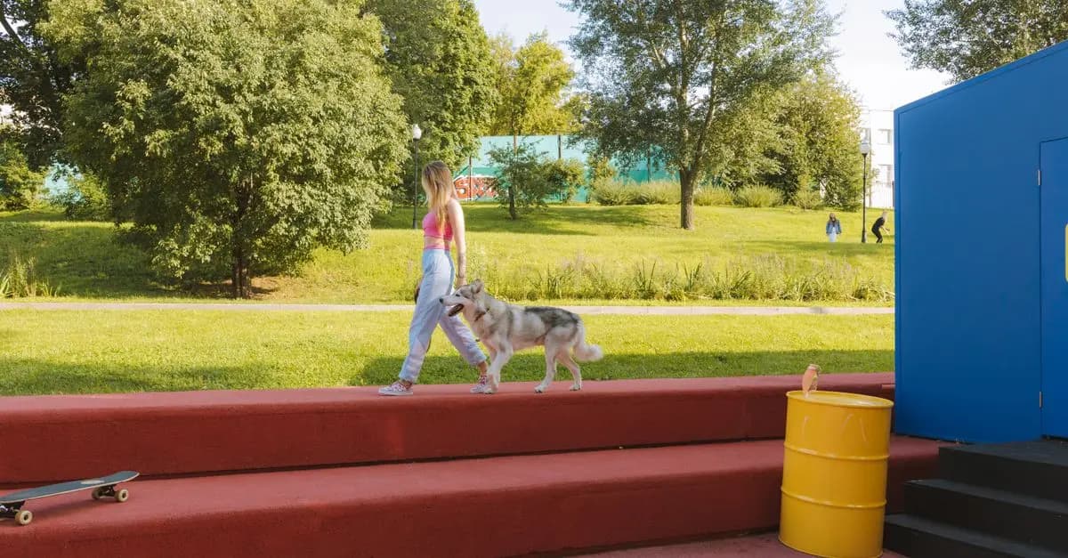 Essential Steps to Create a Pet Friendly Network
