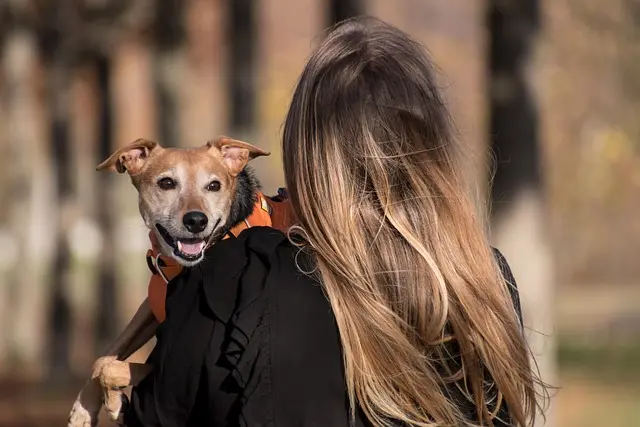 How to Create Engaging Pet-Friendly Events in Your Community