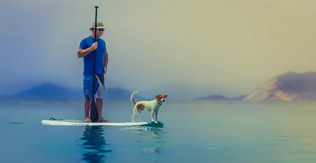 How to Create a Pet-Friendly Community Resource Hub