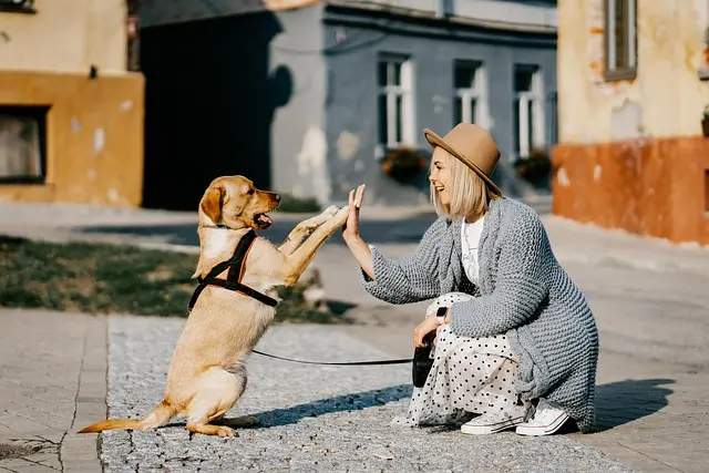 How to Effectively Engage Your Pet-Friendly Network