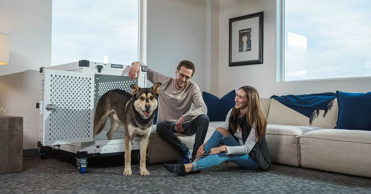 How to Foster Pets: A Complete Guide