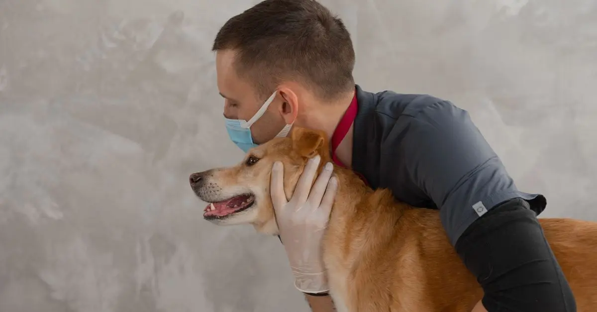 Pet Insurance: Is It Worth It?