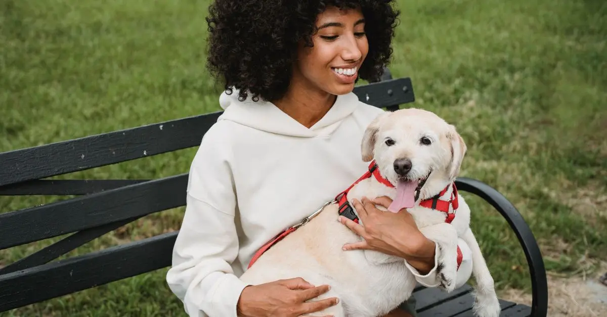 How to Create a Pet-Friendly Community Space