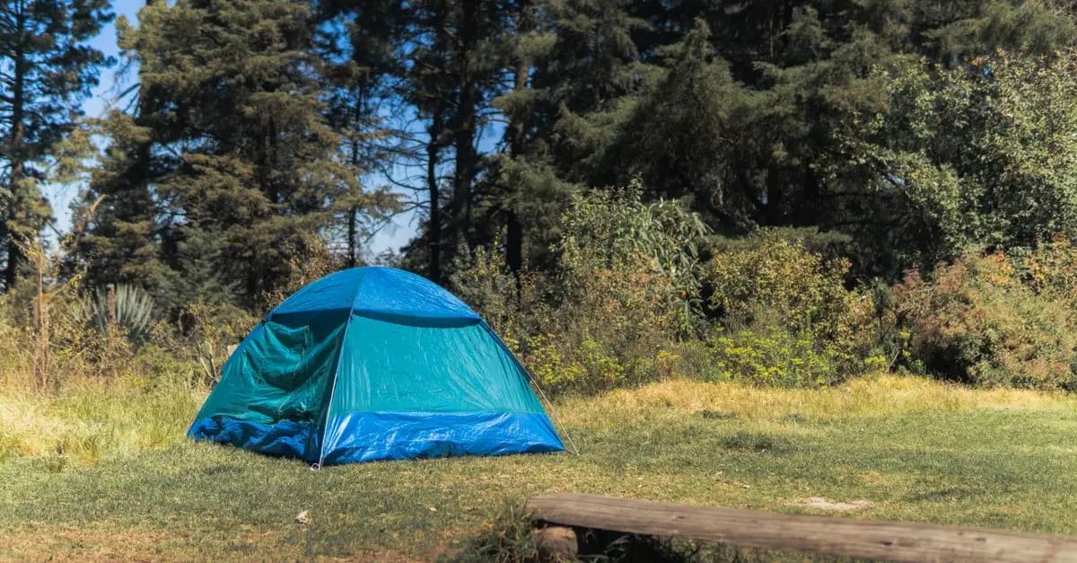 The Best Pet-Friendly Camping Gear