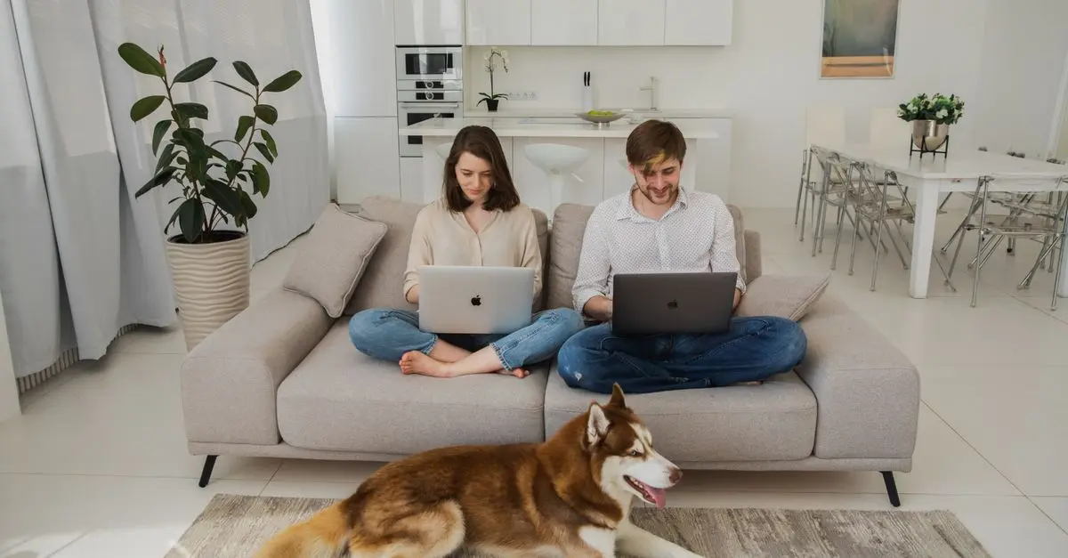Catios: Creating Outdoor Spaces for Indoor Cats