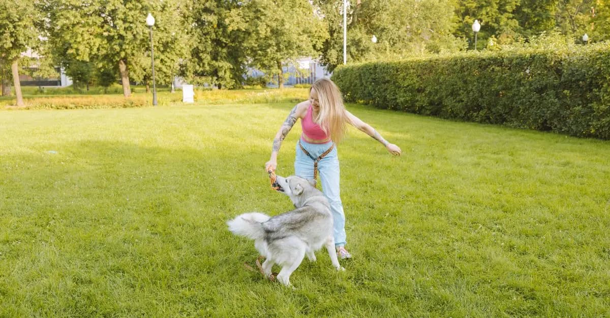 10 Creative Ways to Engage Your Pet-Friendly Network
