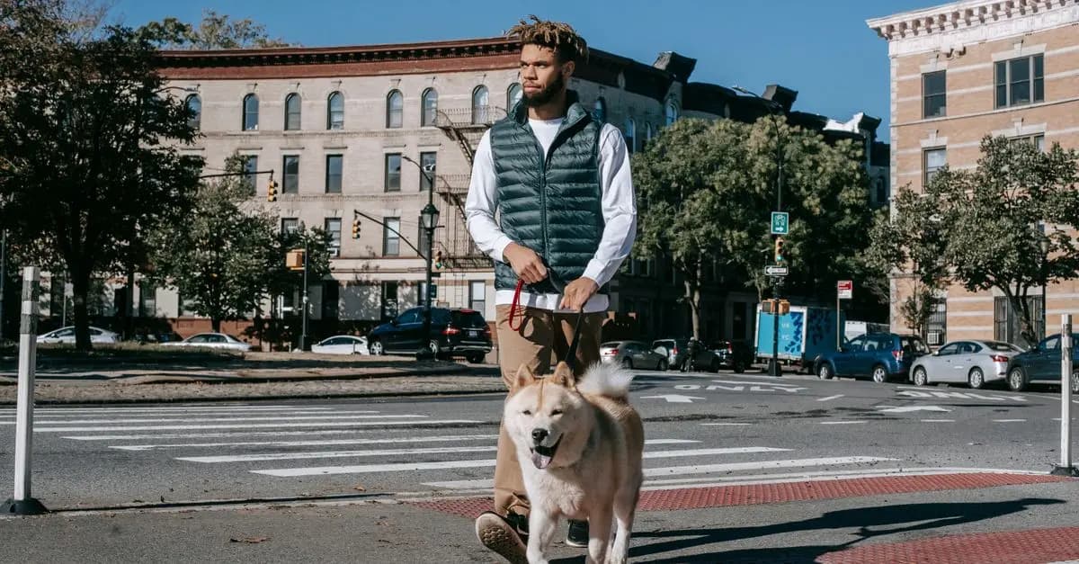 Building Relationships in Your Pet-Friendly Network