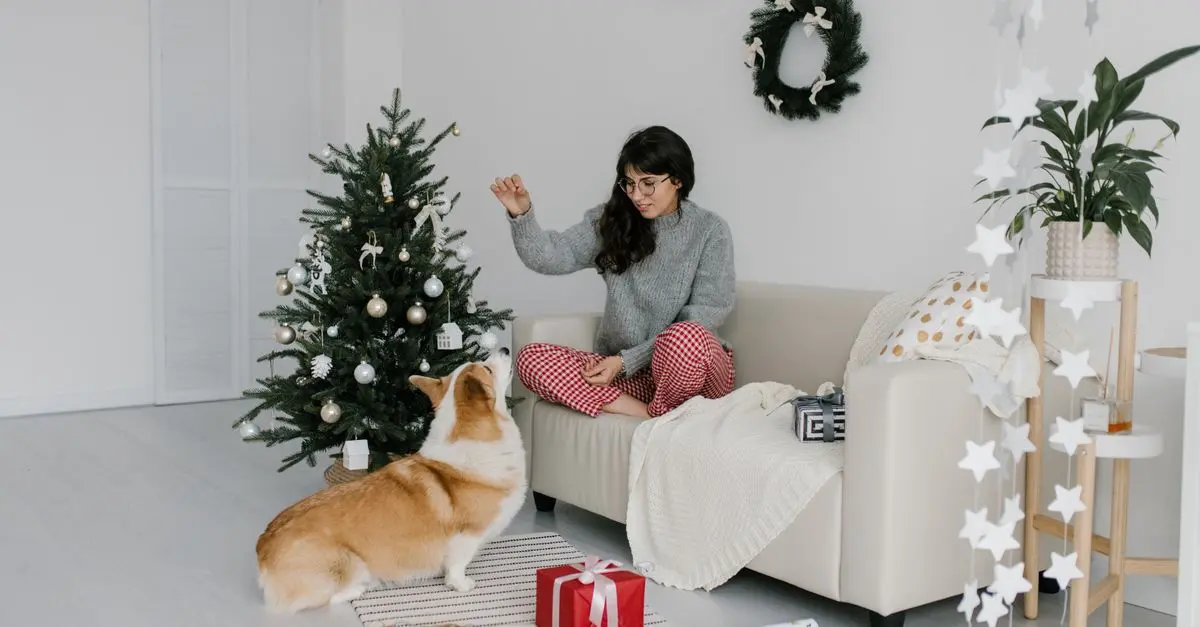 Pet Training Techniques: Expert Advice