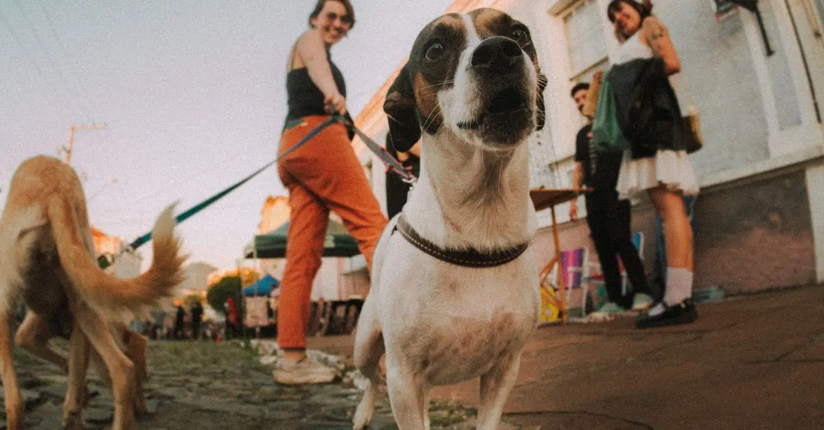 How to Create a Welcoming Pet-Friendly Networking Event