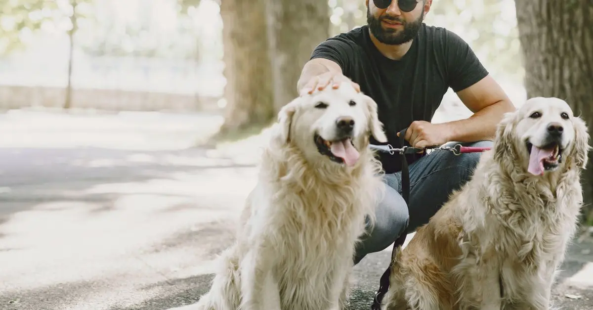 How to Create a Pet-Friendly Networking Strategy