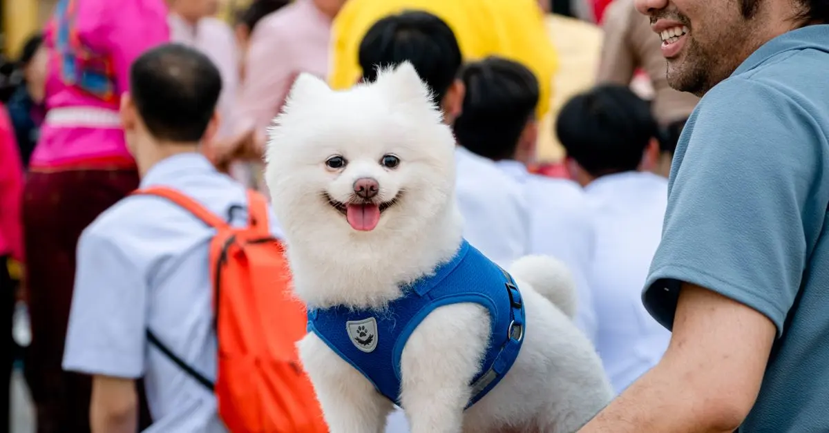 10 Tips for Engaging Your Pet-Friendly Network Effectively