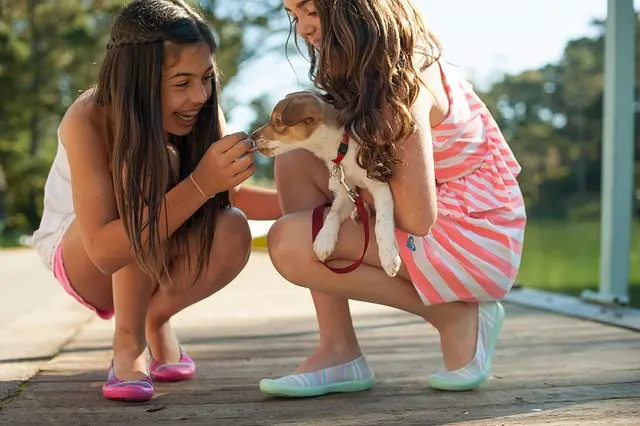 How to Create a Vibrant Pet-Friendly Networking Event