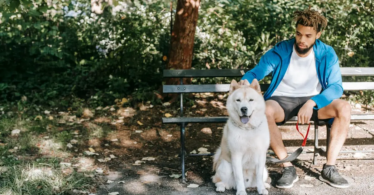 Building a Thriving Pet-Friendly Network in Your Community
