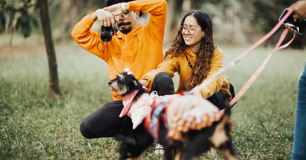 Pet Photography Tips for Beginners