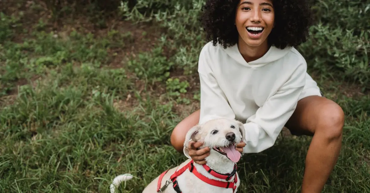 10 Essential Tips for Creating a Pet-Friendly Community