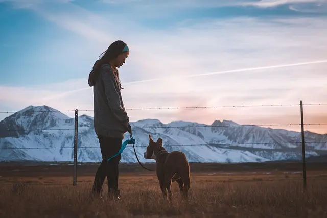 5 Key Insights into the Benefits of a Pet-Friendly Network