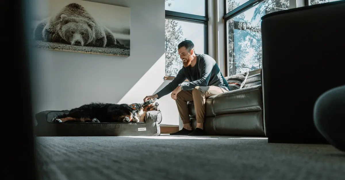 10 Essential Tips for Creating a Pet-Friendly Environment