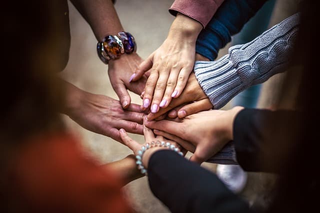 Creating an Inclusive Pet-Friendly Network for Everyone