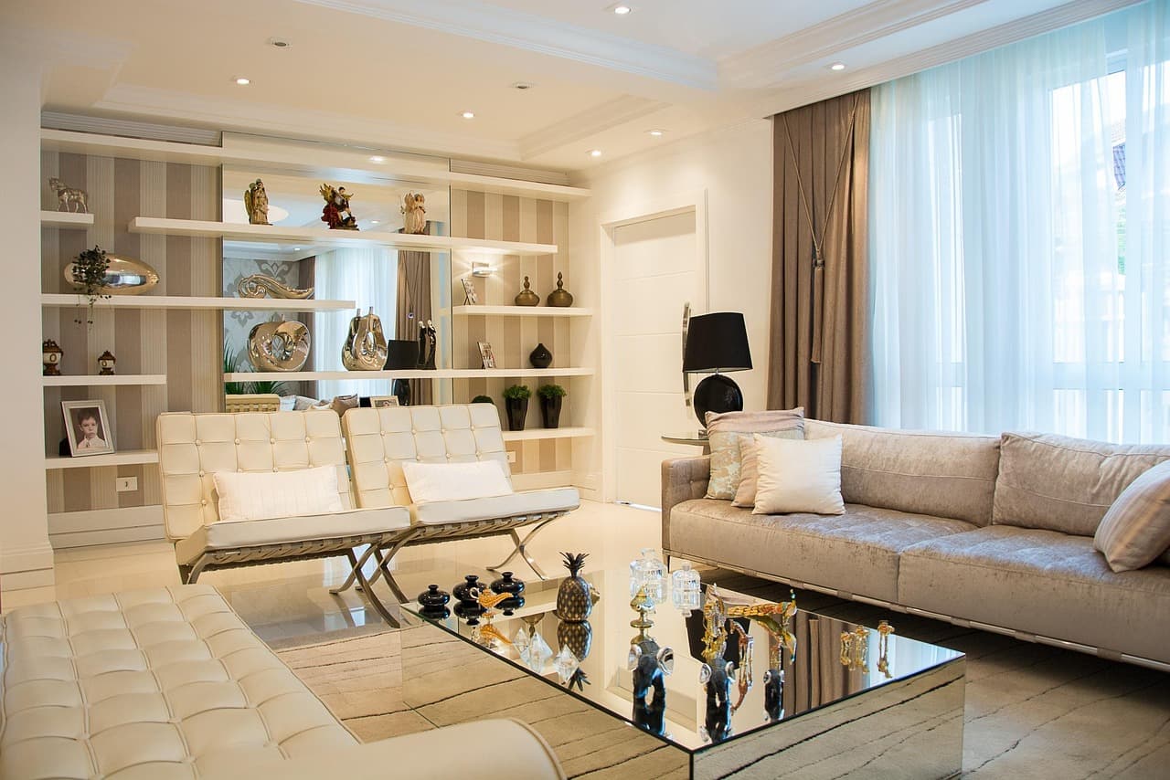 How to Create a Pet-Friendly Space in Your Home